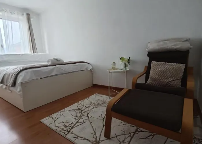 Coucouning Ou Privees Espaces Communs A Partager Apartmán Monthey